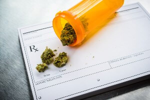 Can Medical Marijuana Users Be Sued for Causing a Michigan Crash